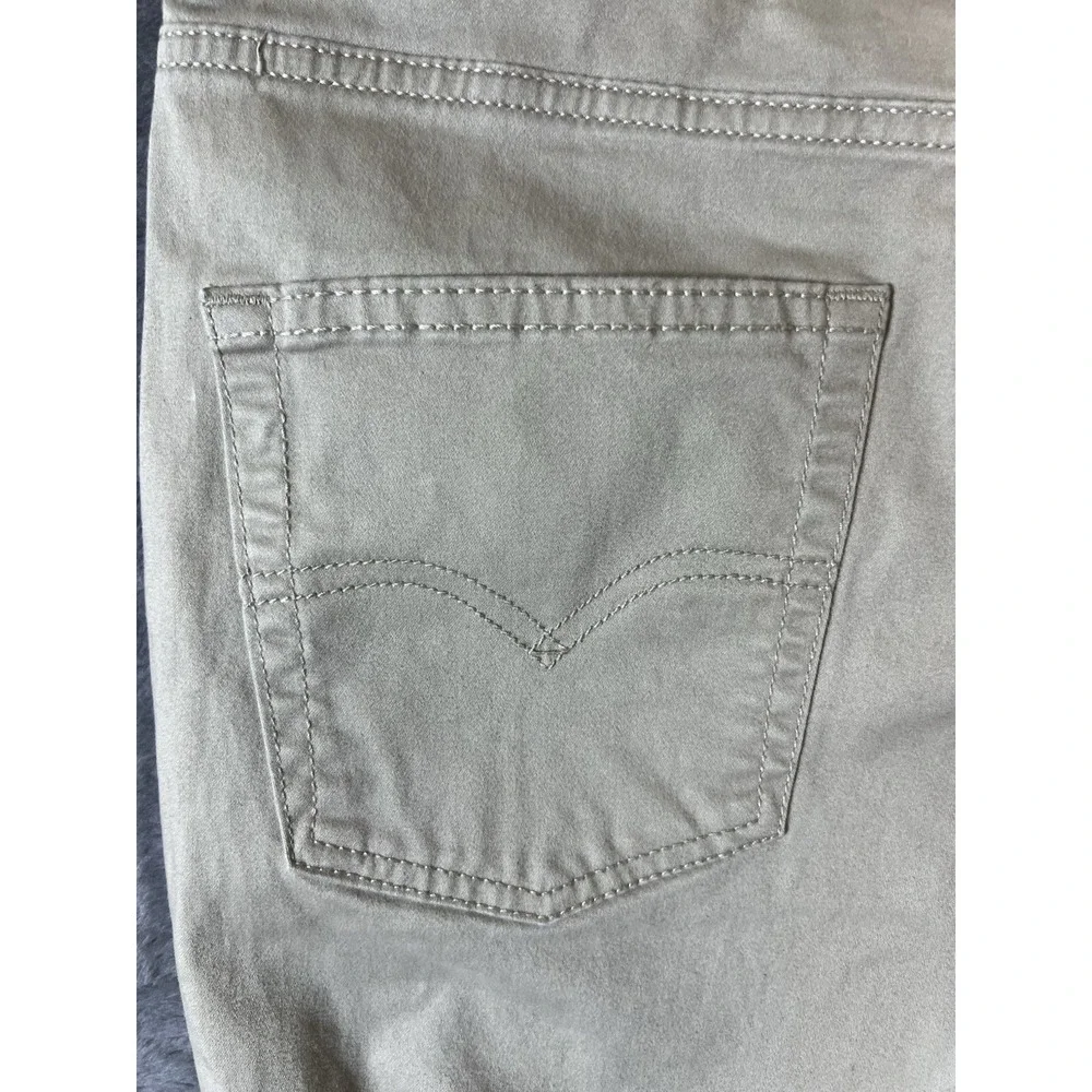Levis levis 511